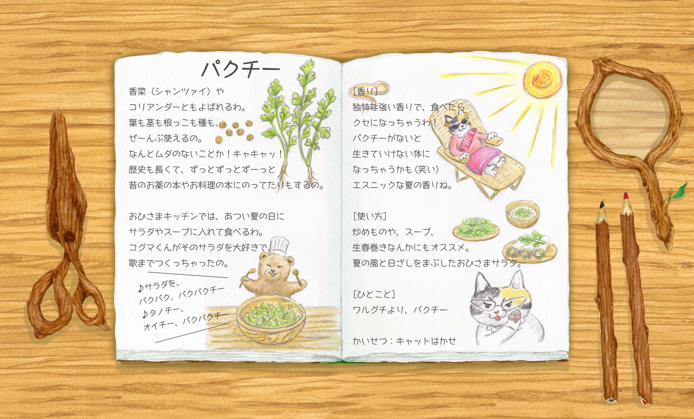coriander