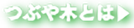 つぶや木とは