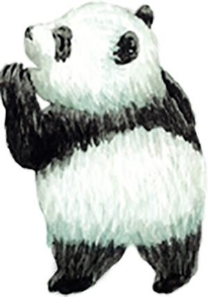 パンダくん