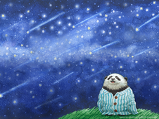 「満点の星空とベビーパンダちゃん」の画像